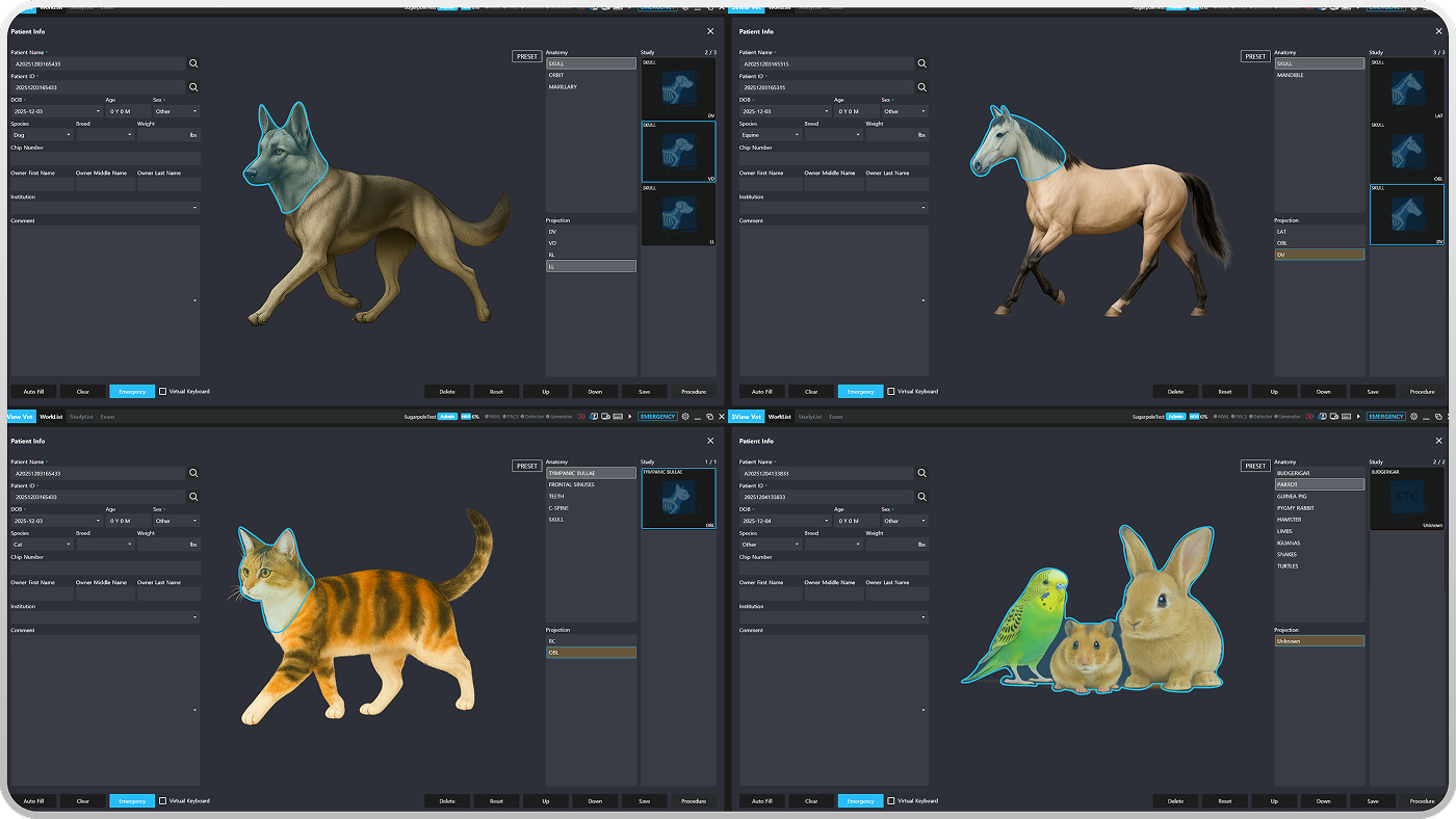 High-Resolution Image Viewer